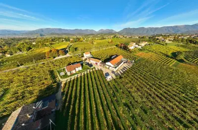 San Pietro di Feletto: Tour por viñedos y cata de 3 vinos Prosecco