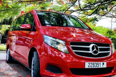 Erlebe tahitis westküste bei einer kleinen gruppentour – wandere durch uralte täler, schwimme in kühlen höhlen, triff einheimische und koste frische früchte. inklusive abholung und lokalem guid