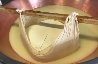 Parmigiano Reggiano Fabrikbesuch und Verkostung in Parma