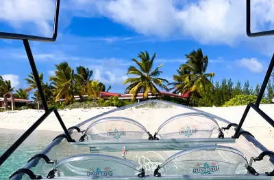Passeio em Grand Turk com fundo transparente e vida nas manguezais