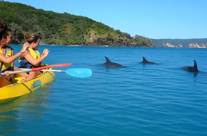 Kayaking at Rainbow Beach: Dolphins and Coloured Sands