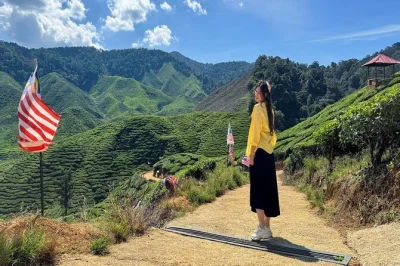 Early morning from kuala lumpur to cameron highlands—walk tea fields, taste strawberries, meet local farmers. includes hotel pickup, lunch, and entry tickets.