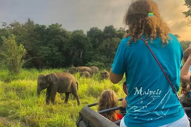 Hurulu Eco Park Safari: Elefanten und Wildtiere im Jeep
