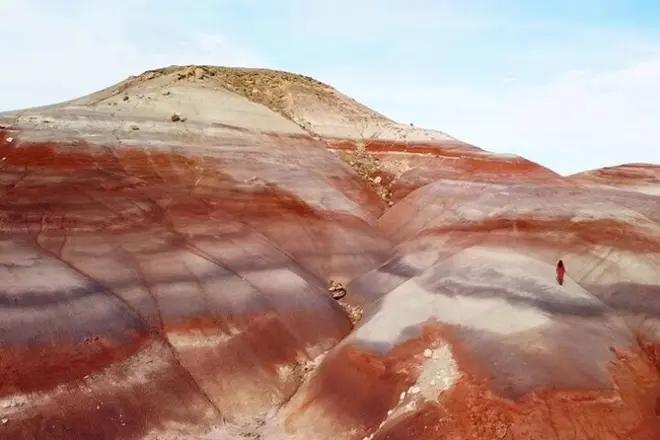 Collines de Bentonite et Capitol Reef : Visite guidée d’une demi-journée