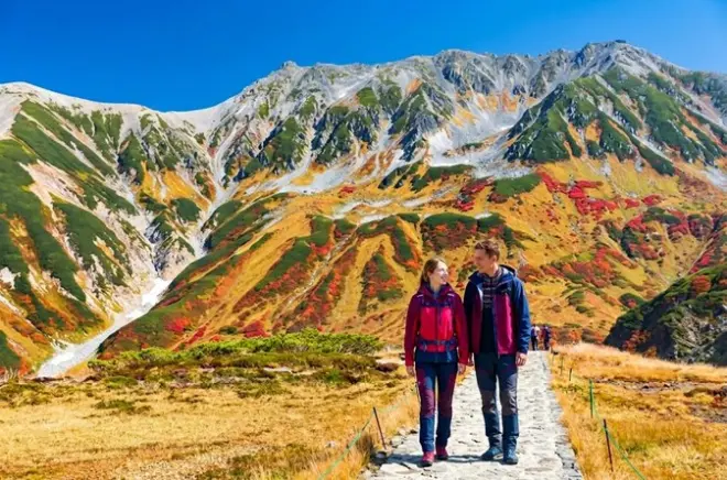Tateyama Kurobe Alpine Route Day Tour: Snow Wall & Dam