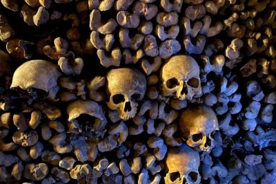 Descend beneath paris with skip-the-line entry, explore hidden catacombs chambers in a group of 6, and hear real stories from your expert guide. includes exclusive access.