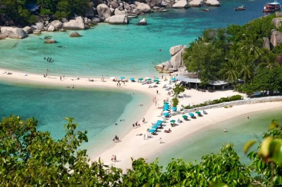 Nagez dans des eaux limpides, grimpez au point de vue de koh nang yuan et savourez un déjeuner thaï sur koh tao. transfert hôtel, matériel de snorkeling et groupe intimiste inclus.