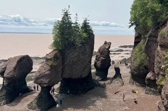 Baie de Fundy et Hopewell Rocks : Visite privée depuis Saint John