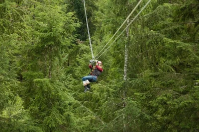 Sinta a emoção do zipline na floresta tongass em ketchikan, aviste animais selvagens do alto, atravesse pontes suspensas e relaxe com um café—tudo com grupo pequeno e transporte incluso.