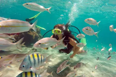 Buceo en Maracajaú desde Natal: Arrecife Parrachos
