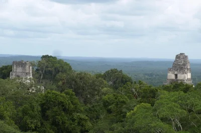 Explore tikal’s ancient temples with a local guide, spot wildlife, and enjoy authentic guatemalan lunch. includes transport, entrance, and bottled water.