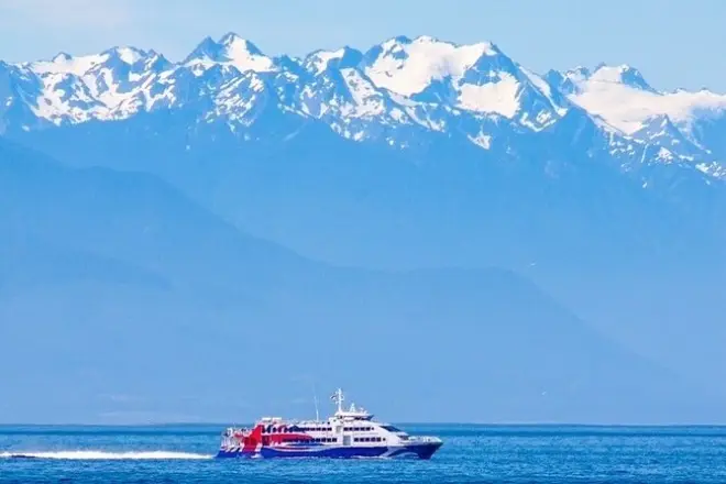 Ferry de Victoria a Seattle: Clipper de alta velocidad solo ida