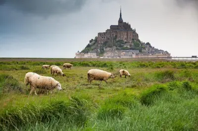 Mont-Saint-Michel: Passeio privativo de um dia saindo de Le Havre