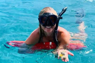 Swim with sea turtles at buck island, relax on honeymoon beach, and enjoy unlimited drinks with just 12 guests. includes local guide, gear, and snacks.