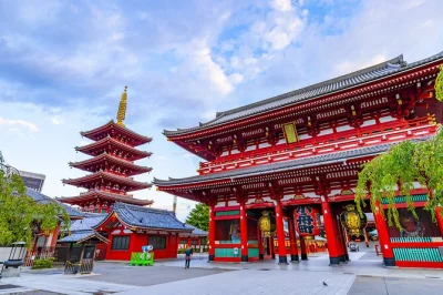 Desde yokohama, descubre el contraste de tokio: templos, cruces de neón y jardines tranquilos con guía local. ruta personalizable y encuentro a pie incluido.