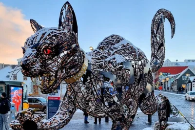 Découvrez reykjavik en compagnie d’un guide local, rencontrez les chats emblématiques de la ville et savourez une pâtisserie islandaise au cat coffeehouse avec une boisson chaude. commentaires in