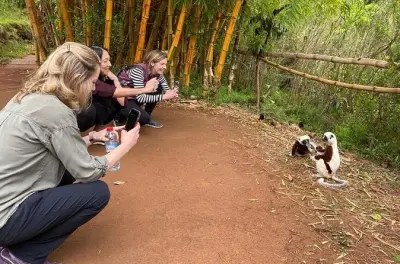 Antananarivo lemurs park e tour pela cidade: Vida selvagem e palácio