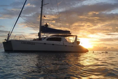 Watch the sun dip over barbados on a small-group catamaran cruise from bridgetown, with snorkeling stops for turtles and shipwrecks, drinks, tapas, and hotel pickup.