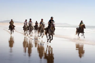 Siente la brisa atlántica en un paseo a caballo de 2 horas en essaouira, recorriendo dunas, bosque y playa. incluye recogida en hotel, guía local y todo el equipo.