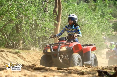 Sinta a adrenalina de um passeio de atv pelas dunas da praia migriño em los cabos, aviste baleias na temporada e finalize com uma degustação de tequila. inclui transporte e guia.