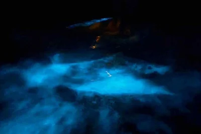 Watch the water glow beneath you in clear kayaks on vieques’ mosquito bay. night tour with local guide, transport from meeting point, and easy booking.