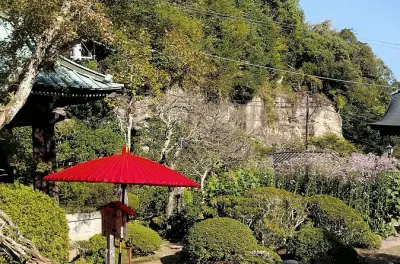 Norte de Kamakura: Tour privado con guía y templos tranquilos
