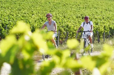Vélo électrique dans les vignobles d’Irancy et Saint-Bris Pinot noir