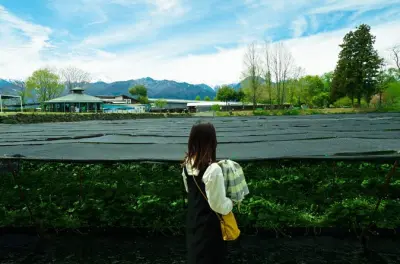 Castello di Matsumoto e fattoria del wasabi: Samurai e cibo