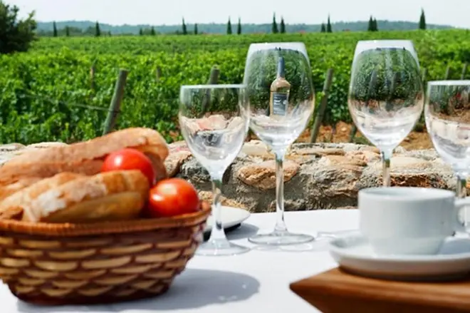 Degustación de vinos y desayuno catalán en Empordà desde Girona