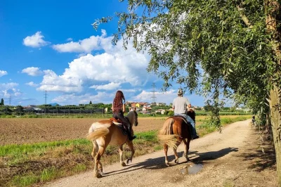 Gardasee, lazise: reiten durch weinberge, picknick unter den reben und weinprobe auf einem familiären imkerhof. inkl. guide und verkostung.