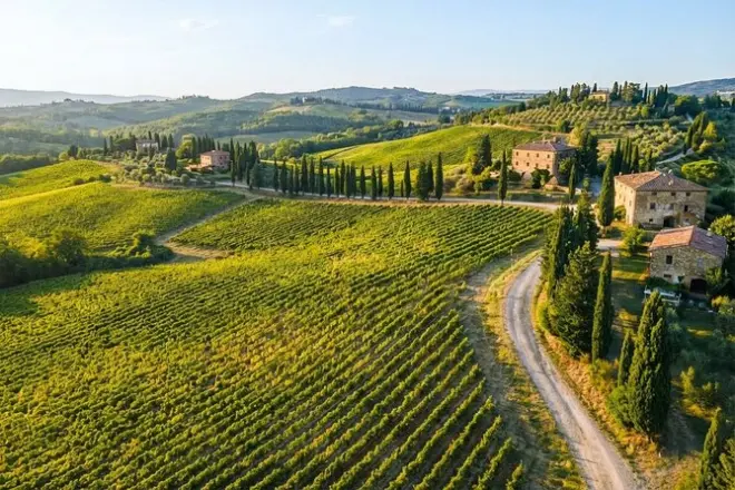 San Gimignano & Chianti wine tour: Private day with lunch