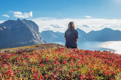 Tour pelos fiordes de Tromsø: Vida selvagem ártica em grupo pequeno