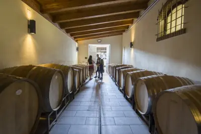 Barolo wine tour from Alba: Taste 4-5 premium wines