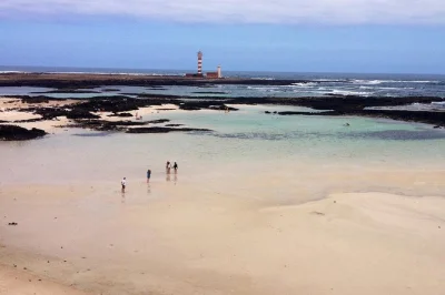 Scopri le dune di corralejo, passeggia per le tranquille vie di el cotillo e ammira l’oceano atlantico dal faro di toston. trasporto privato incluso.