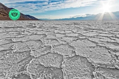 Siente el calor de death valley en una excursión de un día desde las vegas, con recogida en hotel, almuerzo y guía experto que conoce cada rincón salvaje. reserva ya tu lugar.