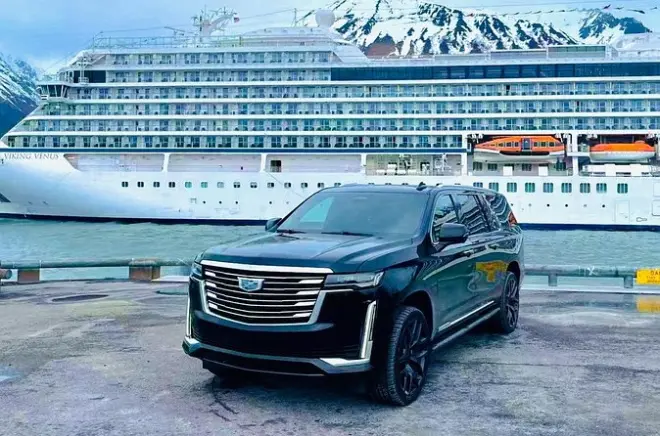 Whittier croisière : Faune et arrêts montagne depuis le bateau