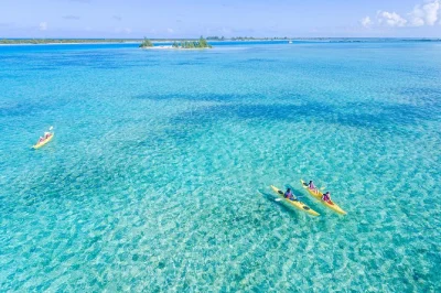 Feel the calm of turks & caicos mangroves by kayak, spot turtles and rays, explore an iguana sanctuary, and swim at a quiet beach. includes snacks and guide.