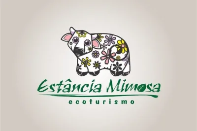 Follow forest trails, swim in eight wild waterfalls, and share a home-cooked lunch on this bonito day trip. includes local guide, safety gear, and all entry fees.