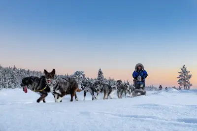 Slitta con husky a Kiruna: Tour artico di 3 ore con cani da slitta