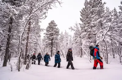 Kirunas arktischer Wald: Schneeschuhwandern mit Tierspuren und Spaß