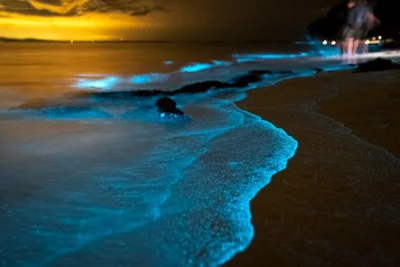 Explore phang nga bay de caiaque, veja o plâncton bioluminescente, visite a ilha james bond e aproveite um jantar na ilha panyee com transporte incluso.