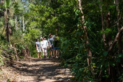 Disfruta de un baño en las cascadas de litchfield, comparte comida casera y explora con un guía local experto. incluye traslado, entrada al parque y snacks frescos en el camino.