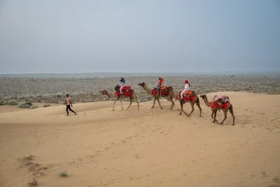 Jaisalmer, thar-wüste: kamelritt zu abgelegenen dünen, chai am lagerfeuer und schlaf unter freiem himmel. inkl. abholung, mahlzeiten und lokaler guide für echtes wüstenerlebnis.