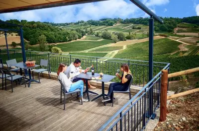 Saint-Emilion: Cata de dos Grand Cru con tabla de quesos incluida