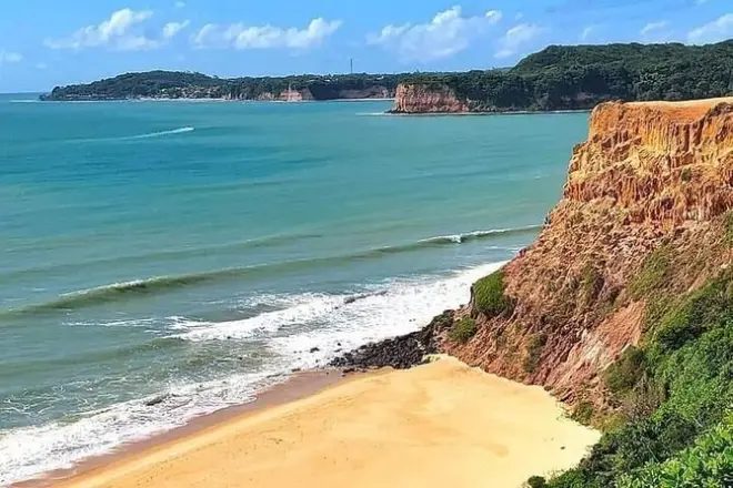 Pipa Beach tour from Natal: Dolphins and cliffs