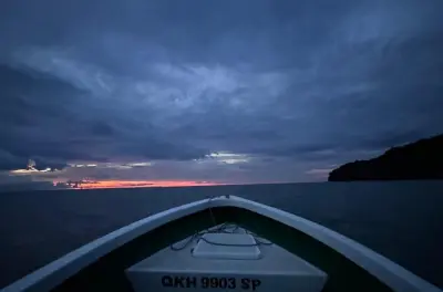 Bako National Park night tour from Kuching: Nocturnal wildlife