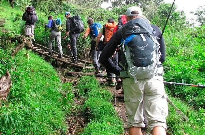Randonnée Kilimandjaro Arusha, route Marangu vers Mandara Hut