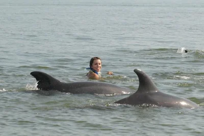 Feel the rush of swimming with wild dolphins in puerto vallarta, hear their underwater calls, and join real marine research—all with a biologist guide and gear included.