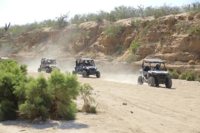 Sinta a emoção de pilotar um utv 4x4, conheça camelos à beira do pacífico e aproveite um buffet mexicano com degustação de tequila. inclui transporte e guias locais em cabo.