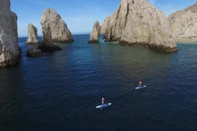 Comece o dia cedo em cabo san lucas, remando de caiaque ou stand up paddle até o arco, mergulhe no recife pelican rock e ouça histórias com um biólogo marinho. fotos inclusas.